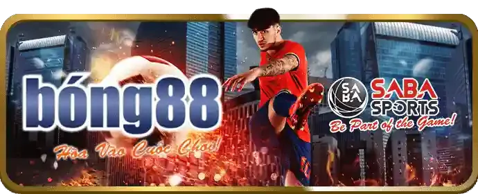 Người đang sử dụng ứng dụng XWIN trên điện thoại di động
